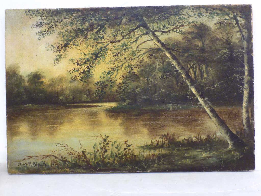 OLIVE PARKER BLACK - SUMMER LANDSCAPE PAINTING: Olive Parker Black American 1868-1948 - Woodland Summer Landscape Painting. Oil on Canvas. Signed Lower Left. 12" x 1" x 18" 2 lbs Provenance: Prominent New York Estate Collection. Artist Studied With