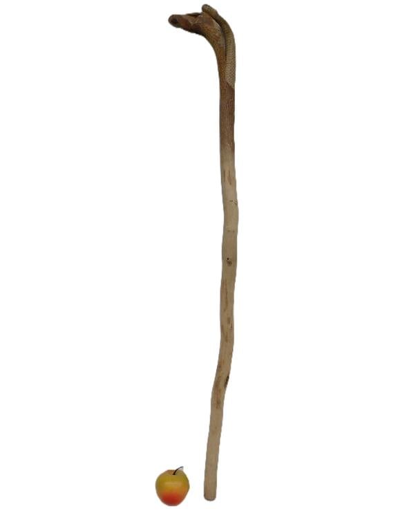 AMERICAN FOLK ART CARVED SNAKE CANE (1 of 2)
