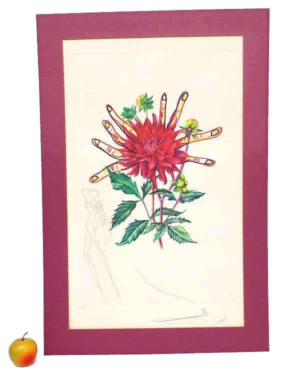 SALVADORE DALI DAHLIA RAPAX SIGNED LITHOGRAPH: Salvadore Dali - Spanish 1904-1989 - Surrealistic Flowers Suite Color Lithograph Entitled Dahlia Rapax. Editions Graphiques Internationales Printing. Embossed Arches Paper Water Mark. Numbered and Sig