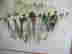 item-24540698=3