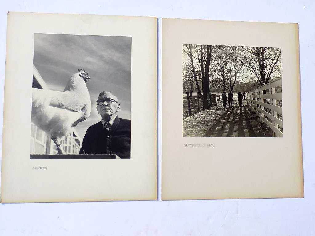 RAITH - SHUTTERBUGS & COCK CHAMPION PHOTOGRAPHS John (1 of 4)