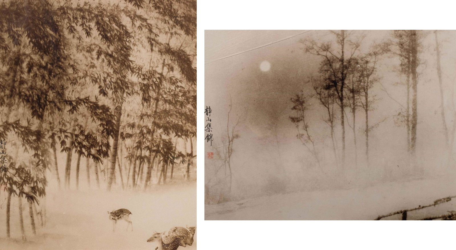 Two Photos by Lang Jingshan (1892~1995) (1 of 6)