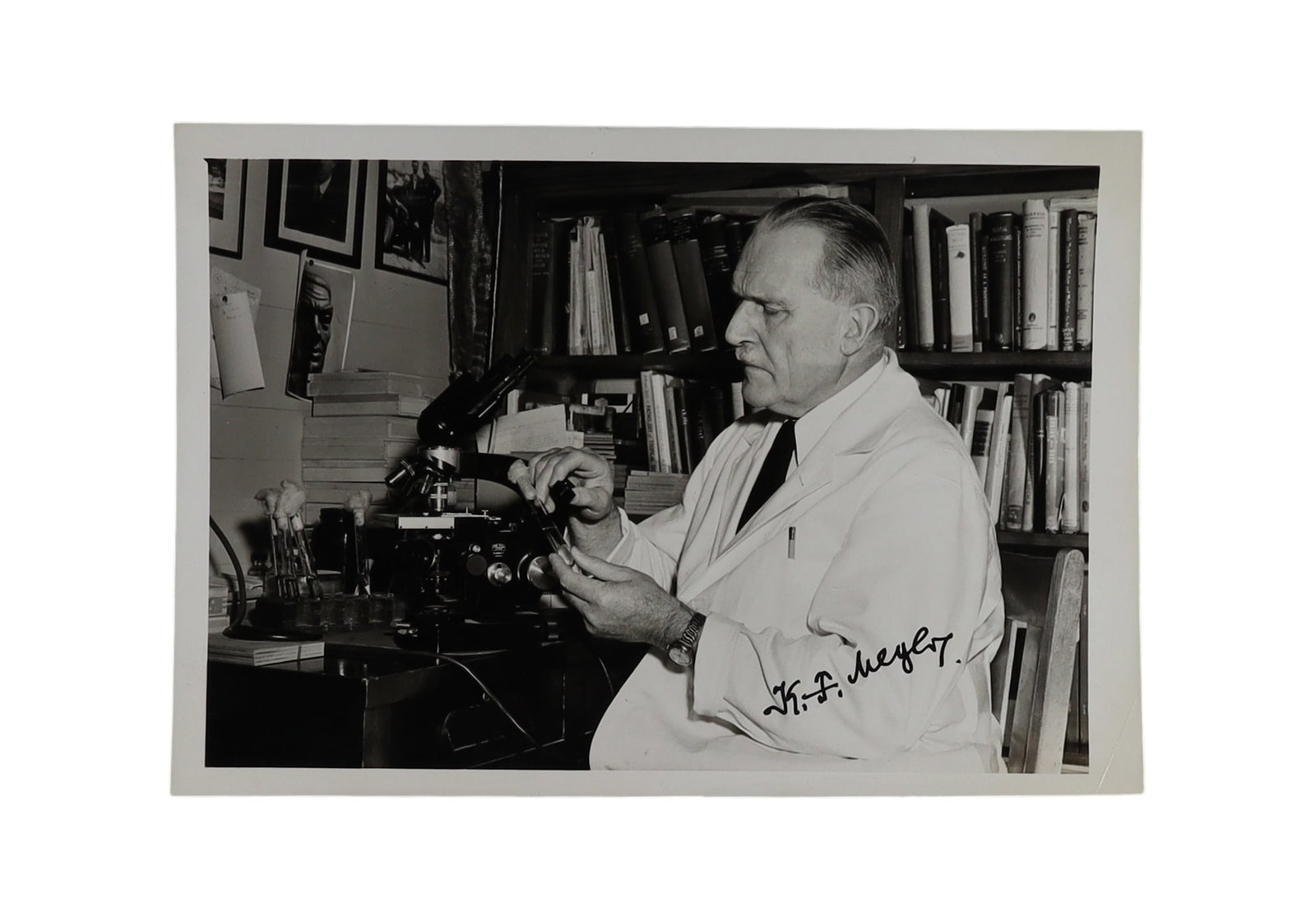 Karl Friedrich Meyer Signed Photographs (2) Pioneer of Pathogen Ecology and Public Health (1 of 2)