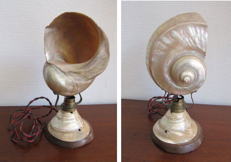 Lampe de chevet coquillage avec un socle en bois et: Lampe de chevet coquillage avec un socle en bois et nacre. Alimentée en électricité et douille en laiton. Hauteur : 25 cm. Diamètre : 12 cm. Très bon état.