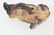 Cast Iron French Bulldog and Terrier - 7