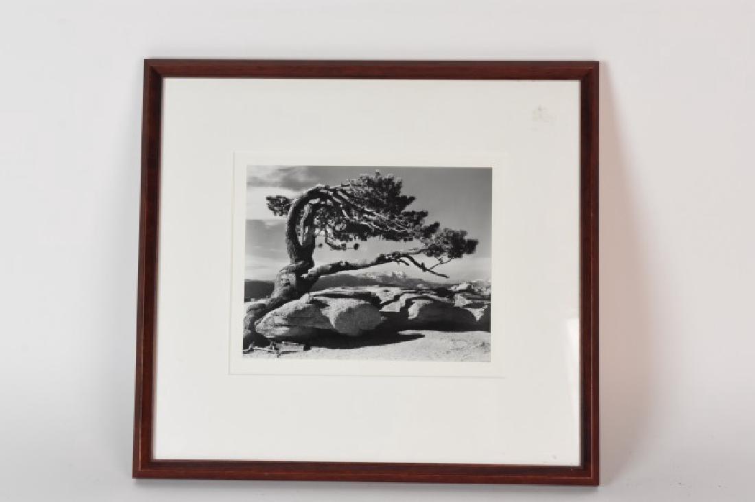 Ansel Adams Matted Print; Yosemite Edition (1 of 2)