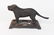 Cast Iron Nut Cracker Dog 24H - 5