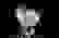 item-57511515=4