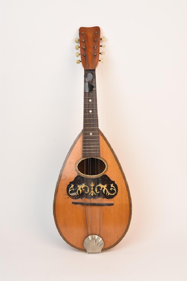 8 String Mandolin (1 of 5)