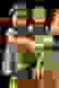 item-66016930=6