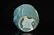 Rookwood Art Pottery Vase - 6