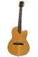 Gibson Chet Atkins SST Electric Guitar, 1993 - 2