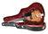 Martin F65 Semi-Hollow Body Electric, 1965