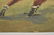 Signed Oil Painting of a Boxing Match - 4