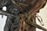 After Remington Bronze Native American on Horse - 7