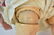 Kley and Hahn Walkure Bisque Head Doll - 6