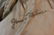 Vintage Fur Coat - 7