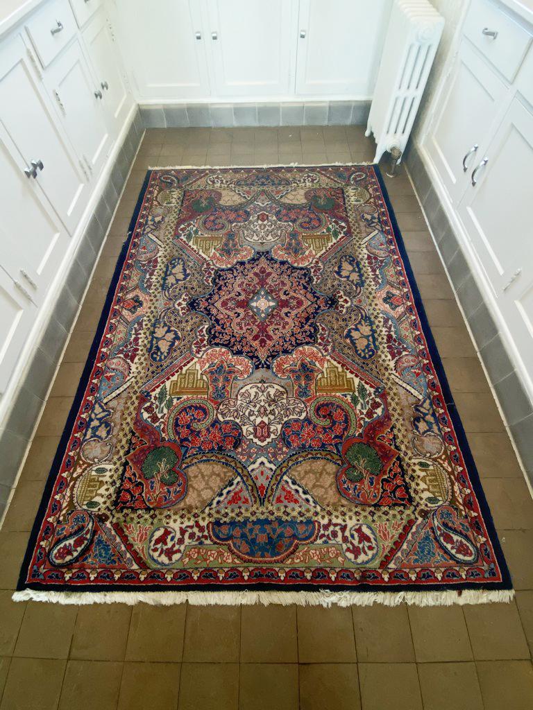 Persian Bakhtiari Area Rug, Hand Knotted 7 (1 of 3)