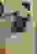 item-91893896=4