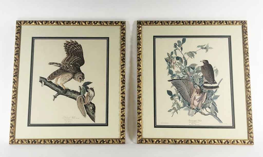 2 Framed Audubon Prints (1 of 13)