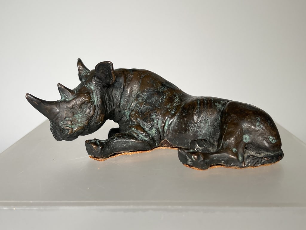 Bronze Rhinoceros (1 of 8)