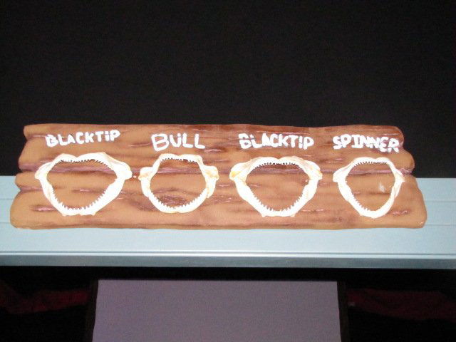 Shark Teeth Display: Shark Teeth Display A beach motif shark jaw and teeth wall hanging. This is a set of (4) shark jaw bites mounted on painted foam board. Above each shark jaw is the name of the shark it came from. Ther