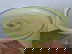 item-209057668=5