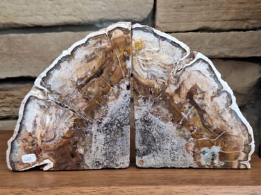 Petrified Wood Bookends
