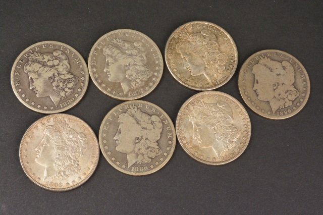 (7) Morgan Silver Dollars (1 of 9)