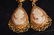 Ladies 14K Yellow Gold Earrings W/ Cameos - 2
