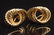 Ladies 14K Yellow Gold Earrings