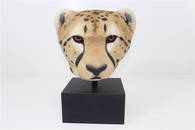 RARE Large Sandicast Cheetah Head