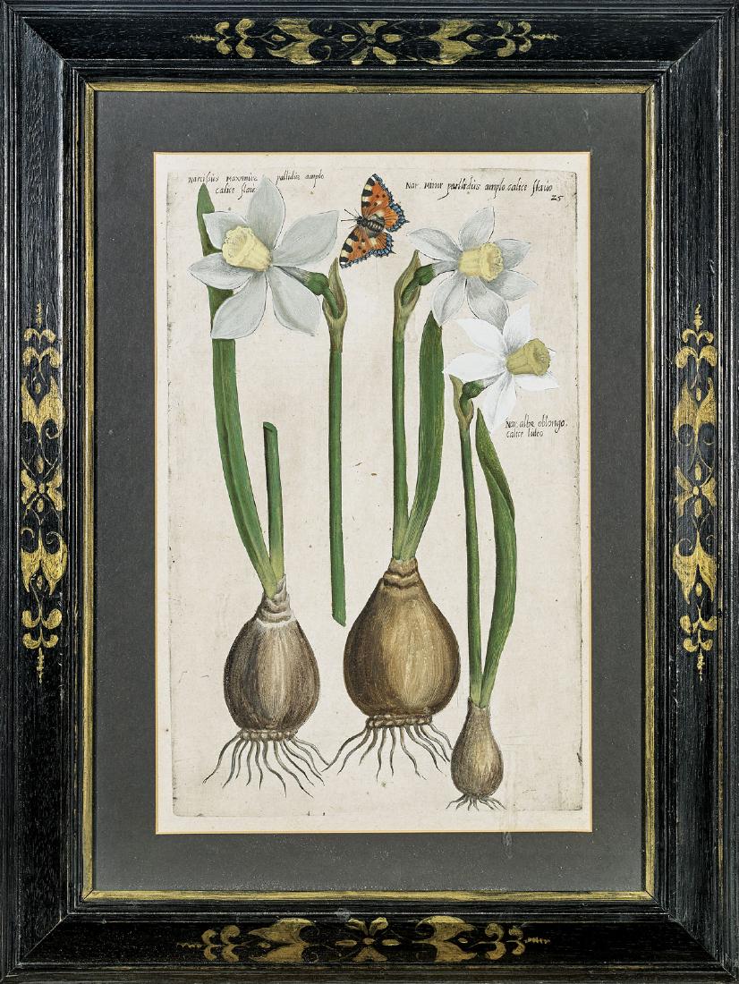 SET OF ANTIQUE ENGRAVINGS BY EMANUEL SWEERT (1 of 4)