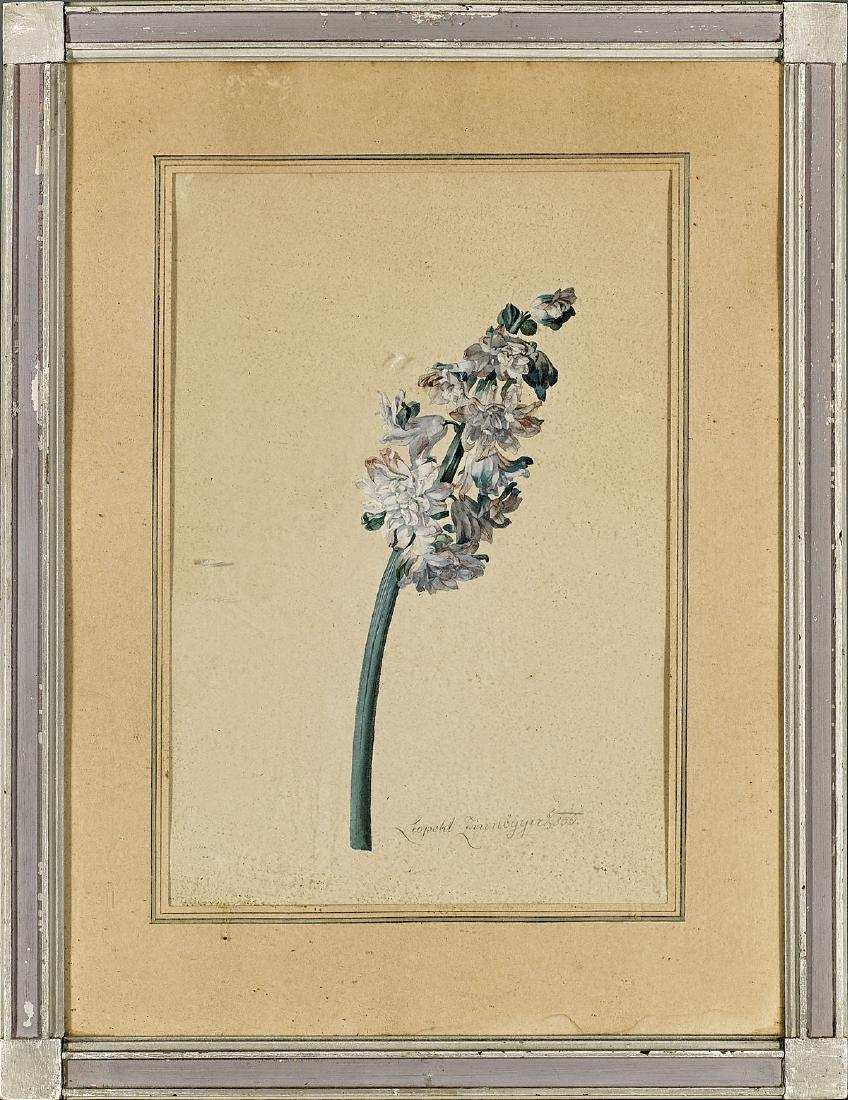 Botanical Watercolor By Leopold Zinnögger (1 of 2)