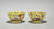 Pair Qing-Style Famille Rose Enameled Porcelain Bowls
