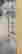 item-56297196=2
