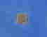 item-64091560=4