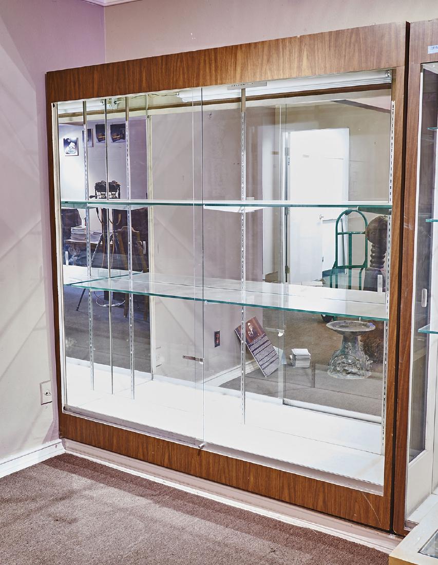 Display Case (1 of 1)