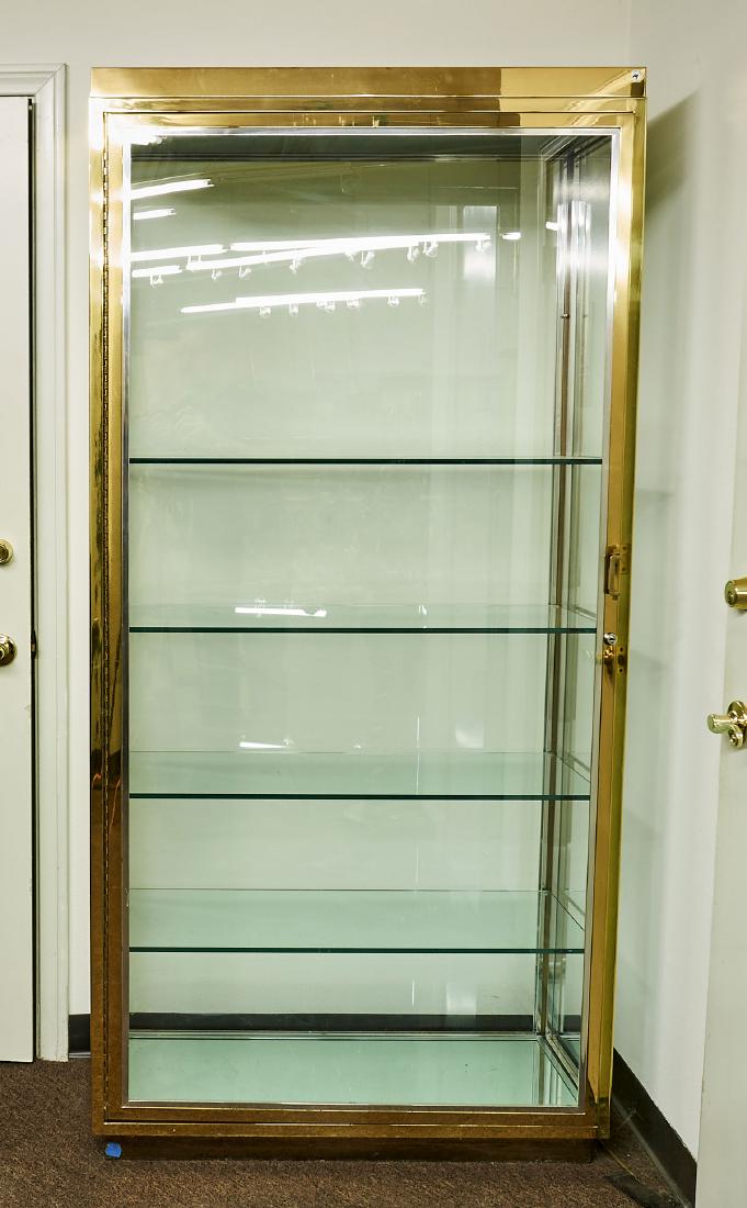 Brass & Glass Display Case (1 of 1)
