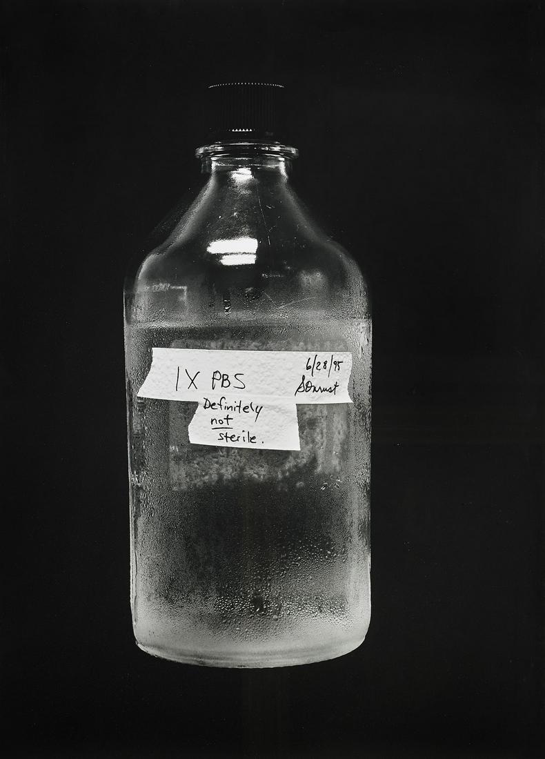GELATIN SILVER PRINT BY CATHERINE WAGNER: Gelatin silver print by Catherine Wagner (American, b. 1953), titled Definitely Not Sterile; from the series Art and Science: Investigating Matter, 1995; numbered 5/12; 38 1/2" x 28" &