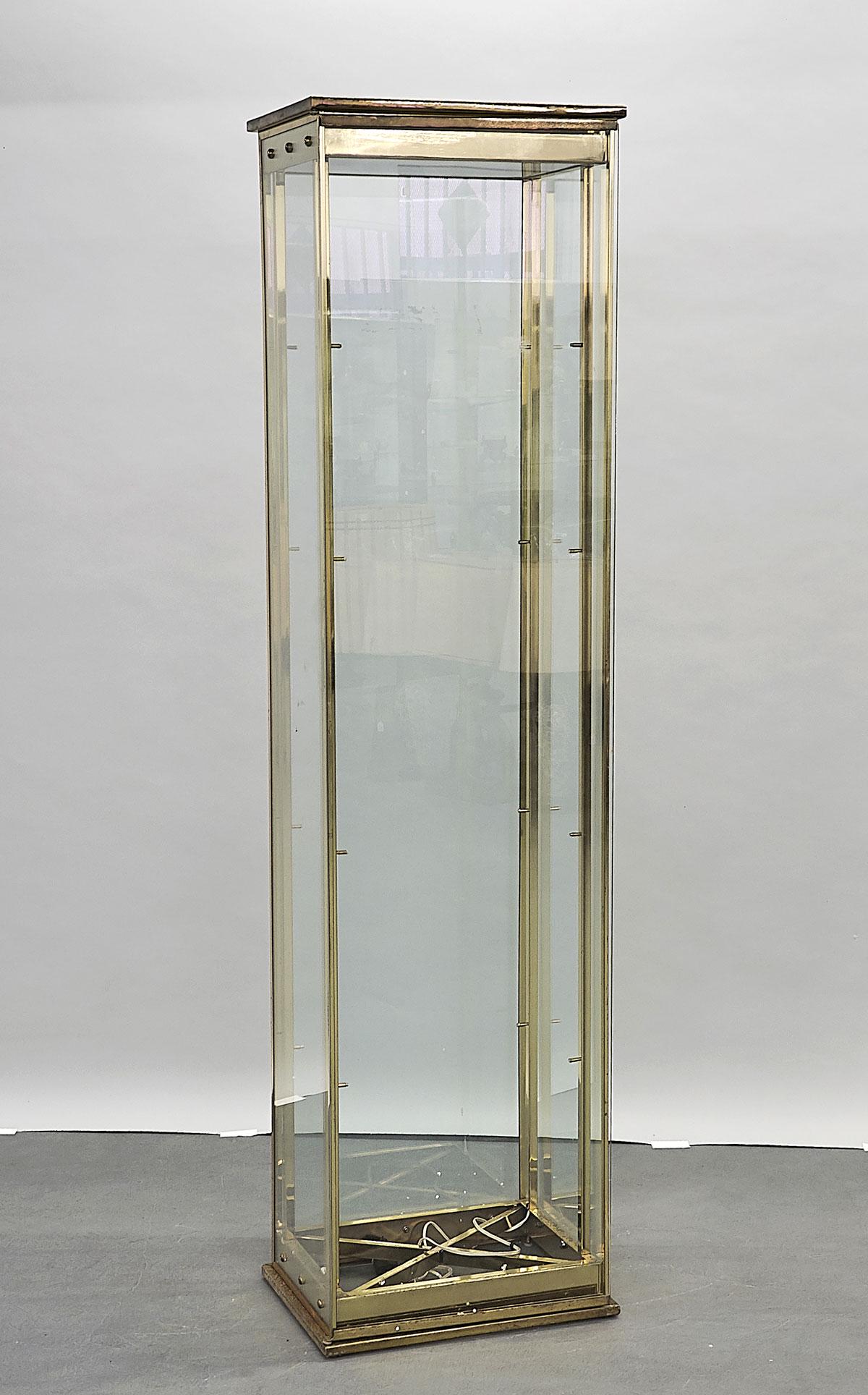 Tall Brass & Glass Display Case (1 of 1)