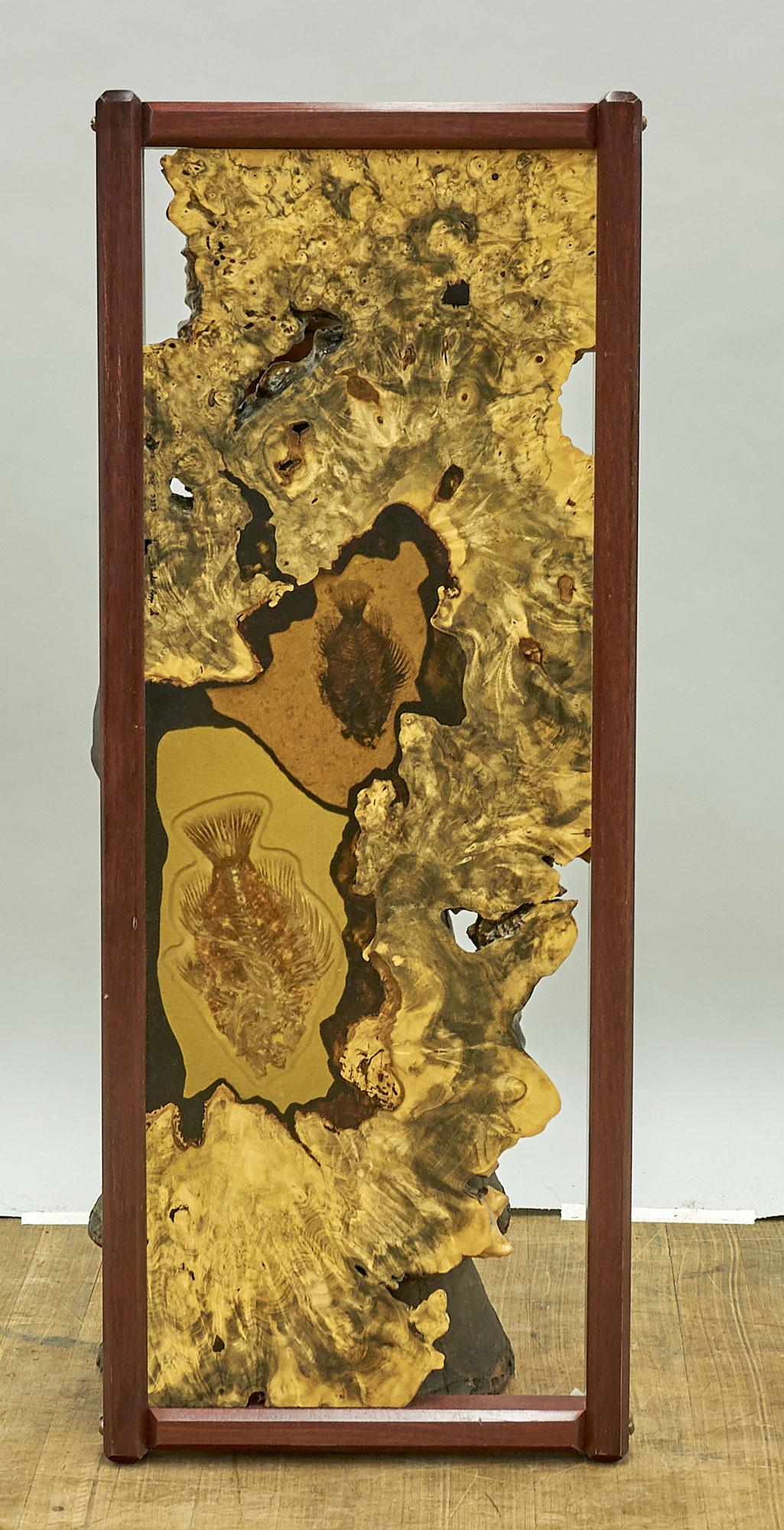 Polished Wood & Fossil Slab (1 of 1)