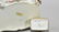 Two European Porcelains - 4