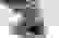 item-103307194=3