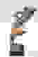 item-103307194=4
