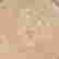 item-123249884=4