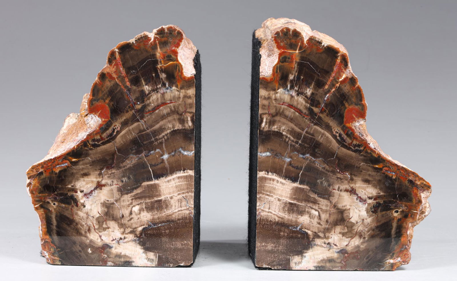 Pair of Petrified Wood Bookends (1 of 6)