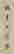 item-10982774=3