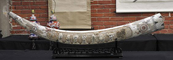 Massive Chinese Sectional Carved Bone "Tusk": Massive Chinese Sectional Carved Bone "Tusk"Massive Chinese sectional appliquï¿½d, carved and polychrome scrimmed bone "tusk"; the front with 7 Gods of Good Fortune and the body with Buddhist emble
