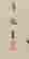 item-16767146=4
